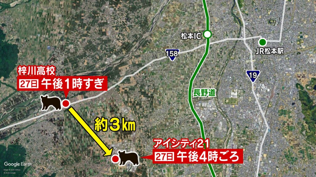 子グマが大型商業施設に居座る　約2時間後、麻酔の吹き矢で眠らせ捕獲　長野・山形村　松本市