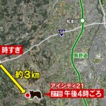 子グマが大型商業施設に居座る　約2時間後、麻酔の吹き矢で眠らせ捕獲　長野・山形村　松本市