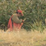 【クマ１頭を駆除】銃声2発…出没が相次ぐ札幌市南区の住宅街に響く、藪に消えたクマが再び出てきたところをハンターが仕留める　北海道