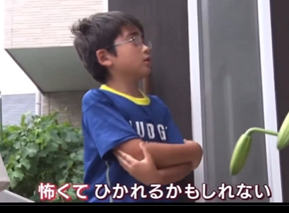 【川口ク〇ド人犯罪】ク〇ド人のトラックの住宅街で「犯罪間違いなし」の運転が幾つも目撃される。行政は頼りにならず