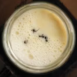 【科学】野生の生きたアリを4匹、温かい牛乳をいれた瓶に入れて一晩置くと、ヨーグルトになる