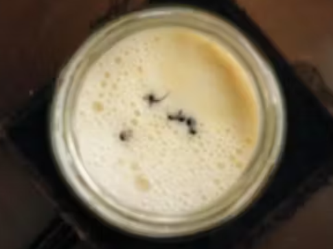 【科学】野生の生きたアリを4匹、温かい牛乳をいれた瓶に入れて一晩置くと、ヨーグルトになる