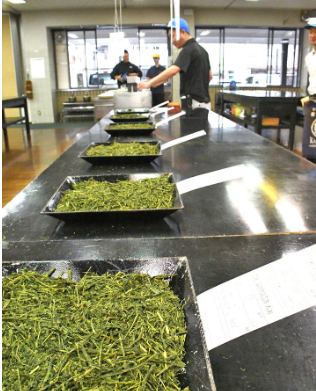 【🍵】コメの高騰どころではない…茶処・静岡で秋冬番茶の落札額が昨年比４倍に　史上最高額が示す「業界の異変」