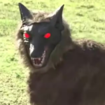 【ロボ】獣害対策の救世主になるか　オオカミ型の自動運転ロボット「モンスターウルフ」の実証実験始まる　福井　(動画あり)