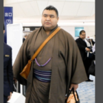 相撲協会の序列が判明！理事・横綱大関はファースト！木村庄之助はビジネス、その他はエコノミー