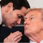 暗殺テロを喜ぶ人たちのビザ破棄へ　町山さんテンパイか