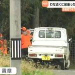 【（・(ｪ)・）（・(ｪ)・）】銃声響き…わなにかかった子グマ守る親グマを駆除 職員らが夜通し警戒 宮城・色麻町