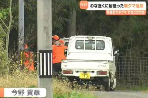 【（・(ｪ)・）（・(ｪ)・）】銃声響き…わなにかかった子グマ守る親グマを駆除 職員らが夜通し警戒 宮城・色麻町