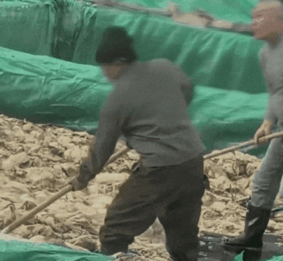 【中央日報】 たばこを吸い、唾を吐く作業員…チャイナ・漬け物工場の衝撃実態