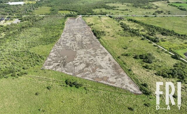 【連メガソ】天然記念物の生息地で土砂投入が…釧路＆鴨川で進むメガソーラー建設現場のひどすぎる実態