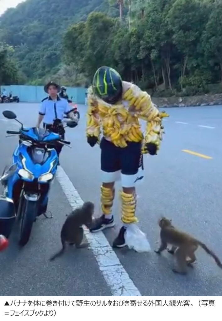 【ベトナム】全身にバナナを巻き付けてサルの生息地へ…外国人観光客が物議
