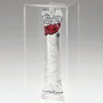 うまい棒「げんだいびじゅつ味」１１５万円で落札…開封できない鑑賞用の美術品