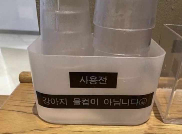 「犬用のコップではありません」 韓国スタバに貼られた案内文
