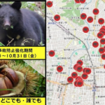 【クマ】「帰省」への影響は？秋田出身21世帯のリアルな声「子どもが外で遊べない」「親を呼び寄せたい」