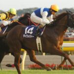 【競馬】ダイワメジャー死す…25歳　現役時に天皇賞・秋などGⅠ5勝で2年連続のJRA賞最優秀短距離馬　産駒も大活躍