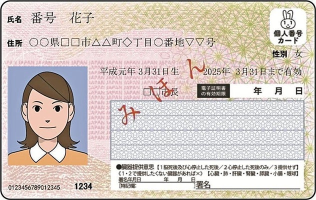 「マイナ保険証」完全移行へ、26年3月末までは従来保険証でも使える特例措置…厚労省が周知