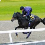 【菊花賞の枠順が確定】米大リーグで大活躍を続ける大谷翔平選手の名にちなむダービー3着馬ショウヘイは④枠7番