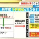 もし通常国会が“冒頭解散”したら「物価高対策」はどうなる?予算編成は?36年前にも“1月解散”が…