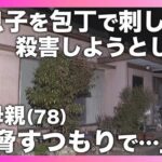 母親「脅すつもりで包丁を振り回したら、たまたま刺さってしまった」38歳の息子に刺し傷