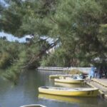 【北海道・札幌】外国籍の子どもら4人が池に…中島公園で「ボートが転覆した」方向転換で立ったか