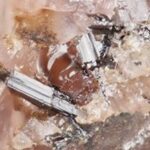 レアアースを含む“日本産新鉱物4種”、山口大が発見　発見場所は群馬県