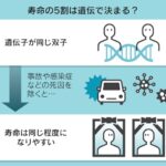 寿命の5割は遺伝が関係か、従来推定の2倍　事故や感染症除く