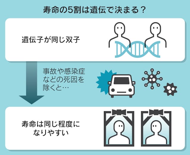 寿命の5割は遺伝が関係か、従来推定の2倍　事故や感染症除く