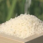 コメ平均価格5キロ4316円　過去最高値を更新　新米価格の高止まりが要因