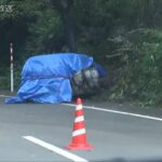 軽乗用車が樹木に衝突か　車両火災で２人の遺体発見