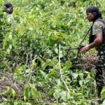 印極左過激派「毛派」、武装闘争停止を宣言 政府は慎重姿勢