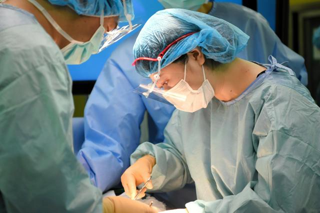 難手術ほど「男性外科医が執刀」の現実　ジェンダー格差、縮まったが