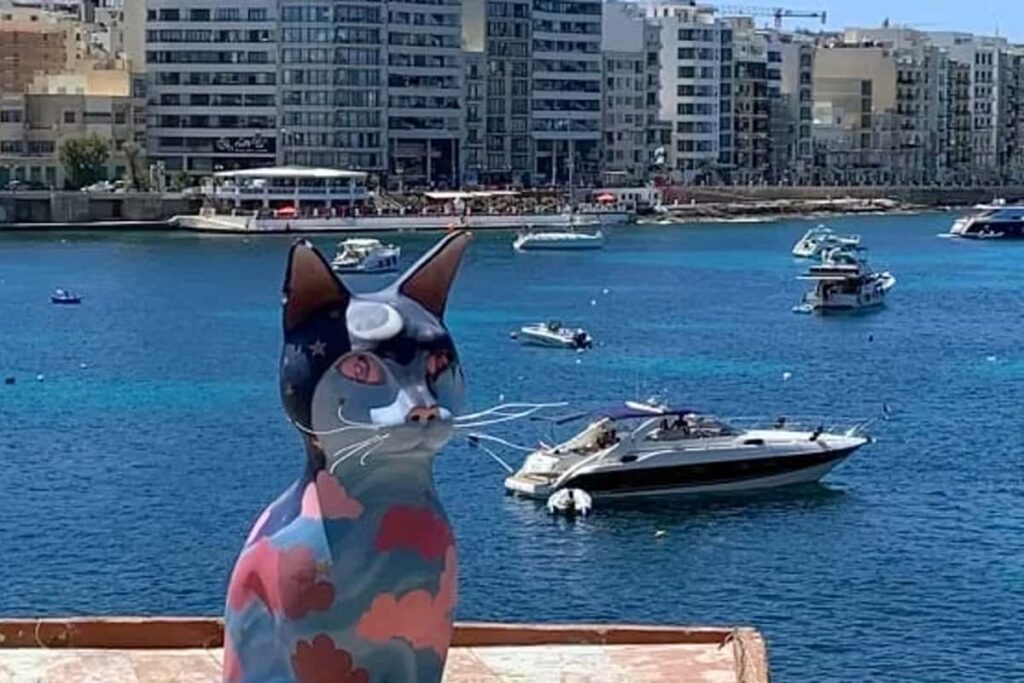 マルタ島で猫を虐殺した日本人「猫はカネ目当ての女と同じ。餌を与えないと撫でさせない」