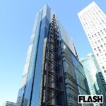 【日テレ】『奈良の鹿への暴力』検証　日テレが誹謗中傷に警告も…　高市早苗氏の発言から「攻撃する観光客」物議やまず