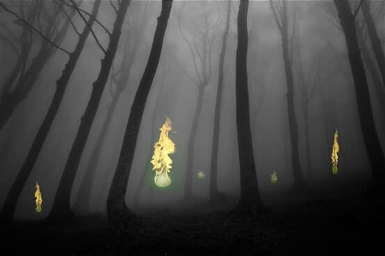 【正体が遂に判明】墓場に現れる「青い火の玉」…「鬼火」を発生させる、意外なファクターとは