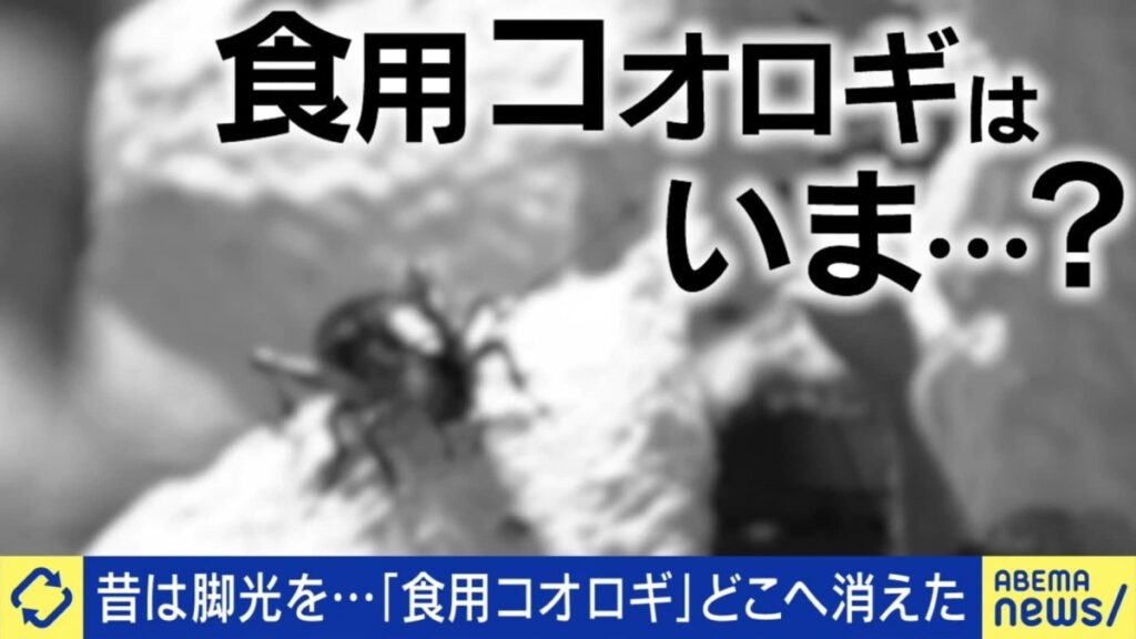 【食】「食用コオロギ」はどこへ…「培養肉」は進んだ？食糧危機を救うと言われた新たな“食材たち”の今