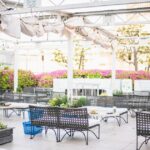 韓国からのインバウンド専用機が富山空港に到着　ほぼ満席、一行は石川や長野へも