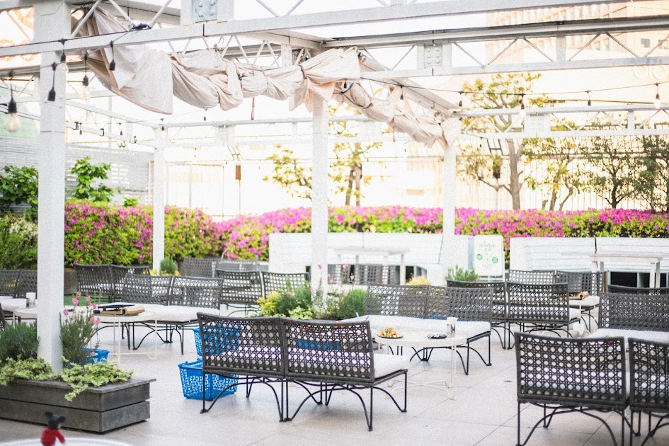 韓国からのインバウンド専用機が富山空港に到着　ほぼ満席、一行は石川や長野へも