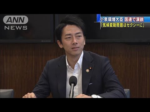 小泉セクシー進次郎、環境大臣か