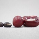 【食べ物】あんこに不可欠のアズキ、栽培は日本発祥　「中国起源説」を覆す研究