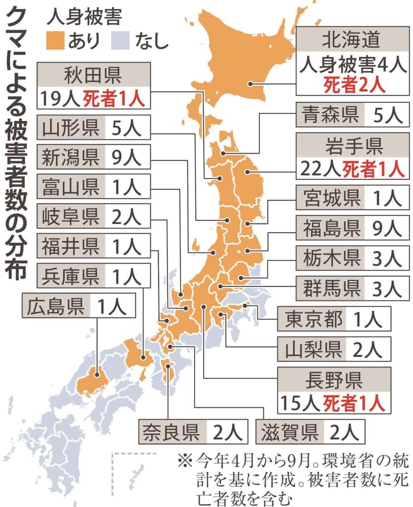 【冬眠準備のクマ、】刺激与えれば冬でも活動の恐れ　市街地出没のリスク継続
