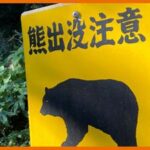 宮城の住宅街にクマ、初の緊急銃猟で駆除