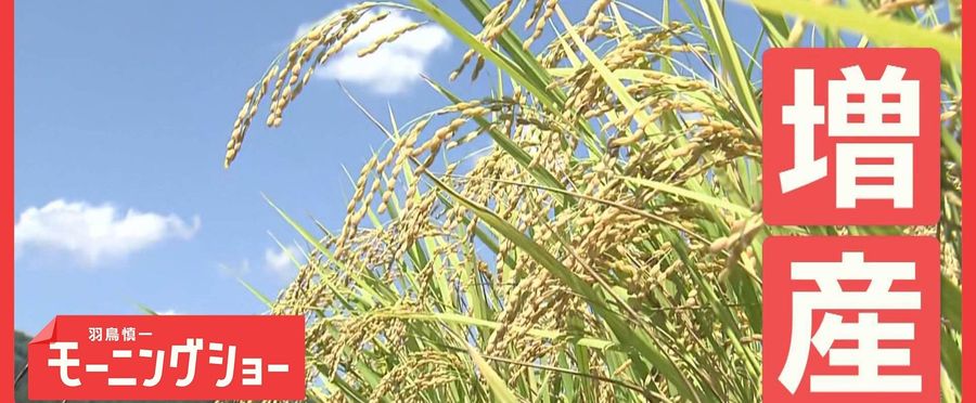 【コメ】コメ増産　収穫量過去最大　なぜ価格は高止まり