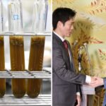 【租特】自民・維新、企業向け減税「効果低ければ廃止」　研究開発税制など念頭