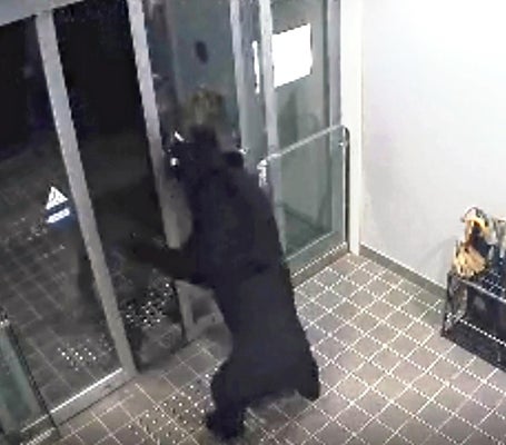 【秋田】民家にクマが居座る湯沢駅周辺、消防本部の玄関にも侵入…秋田県で１日に男女６人が襲われる