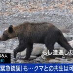 【（・(ｪ)・）】「人を食べる習慣を持つクマが増えている」全国的に増えるクマの人的被害「明らかに局面変わった」 市街地中心部にも出没