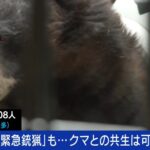 【（・(ｪ)・）】小泉進次郎氏が報告「秋田県知事からクマ対策支援の緊急要望を受けました。自衛隊としても…」