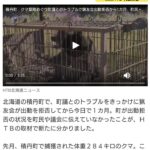 【北海道積丹町】クマ出没するも地元猟友会に出動要請せず　町議会議員とのトラブルで猟友会が出動拒否