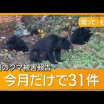 【佐竹氏】秋田県前知事「クマ対策の専門部隊を」緊急銃猟も限界