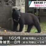 閣僚会議で木原官房長官「警察にはライフル銃での駆除をお願いした」