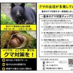 自衛隊、クマ対策派遣準備 輸送など後方支援方針―直接駆除「ノウハウなく困難」